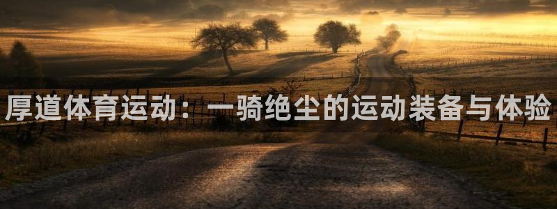 德国米兰体育官方正版app集团:厚道体育运动:一骑绝尘的运动